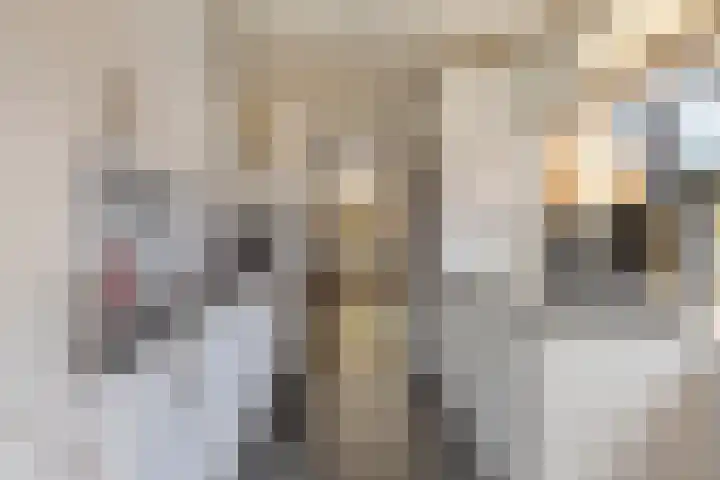Populierenlaan 22 Krimpen aan den IJssel thumbnail 21