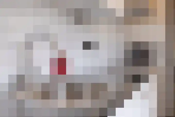 Populierenlaan 22 Krimpen aan den IJssel thumbnail 23
