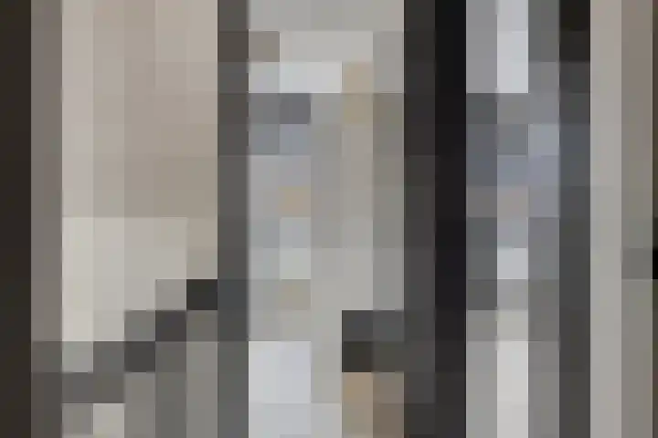 Populierenlaan 22 Krimpen aan den IJssel thumbnail 25