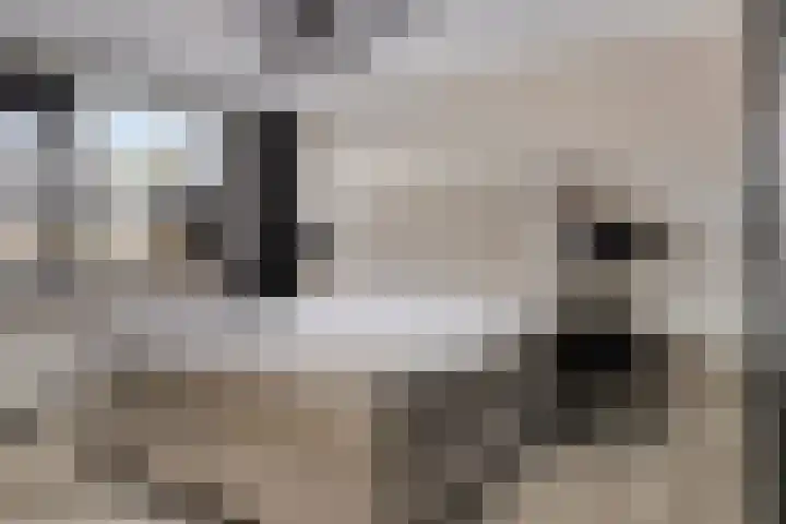 Populierenlaan 22 Krimpen aan den IJssel thumbnail 4