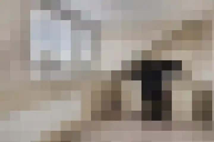 Populierenlaan 22 Krimpen aan den IJssel thumbnail 41