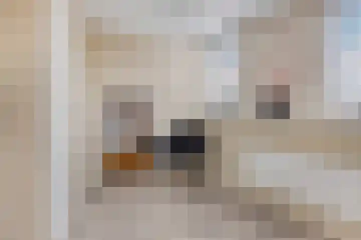 Populierenlaan 22 Krimpen aan den IJssel thumbnail 42