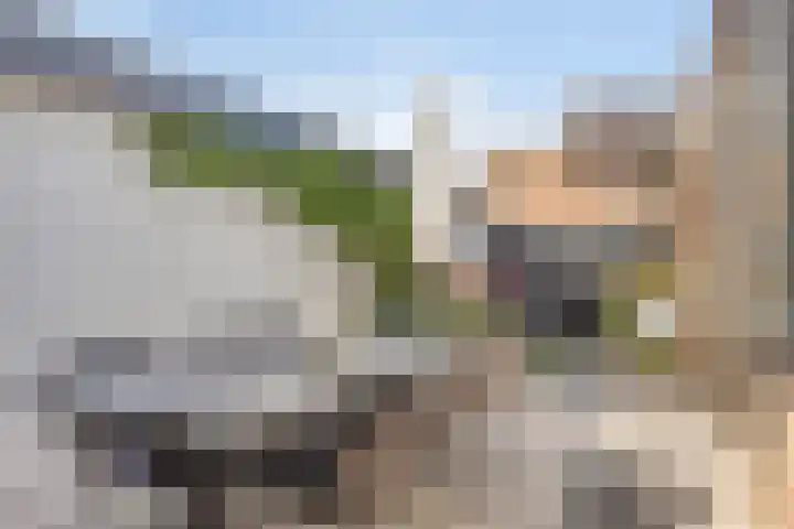 Populierenlaan 22 Krimpen aan den IJssel thumbnail 44