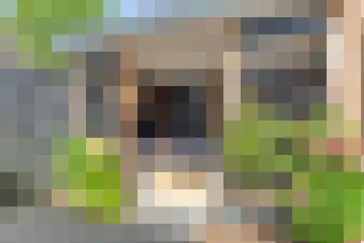 Populierenlaan 22 Krimpen aan den IJssel thumbnail 46