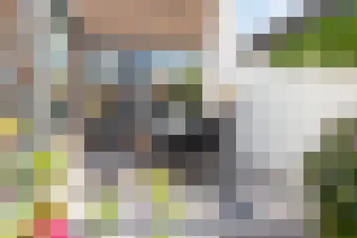 Populierenlaan 22 Krimpen aan den IJssel thumbnail 51