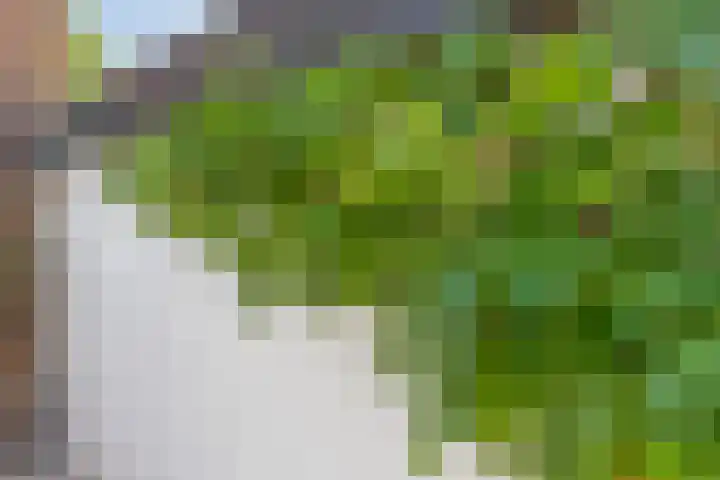 Populierenlaan 22 Krimpen aan den IJssel thumbnail 52