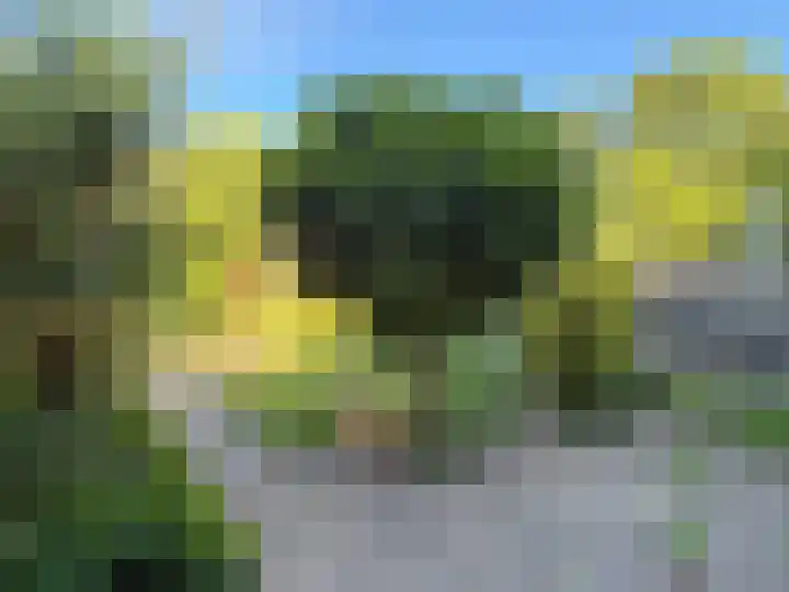 Populierenlaan 23 Schagen thumbnail 12