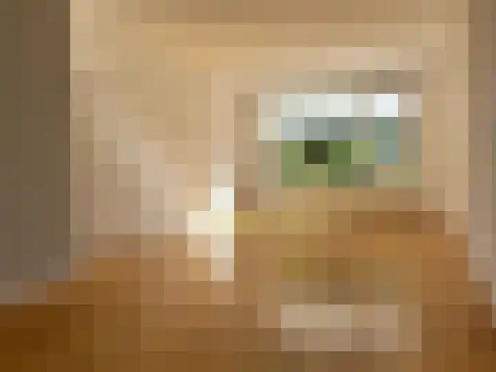 Populierenlaan 23 Schagen thumbnail 5