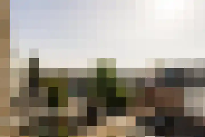 Populierenlaan 23 Zwanenburg thumbnail 13