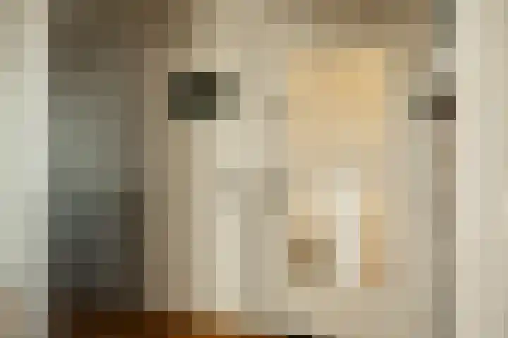Populierenlaan 23 Zwanenburg thumbnail 16