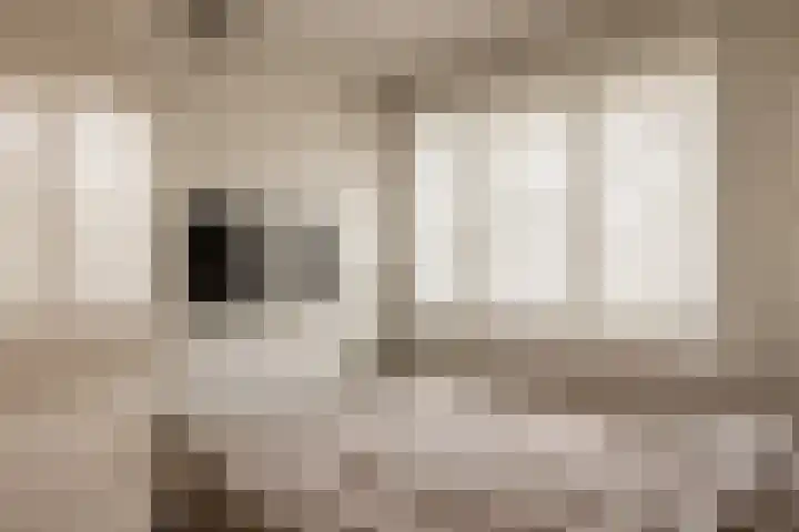 Populierenlaan 23 Zwanenburg thumbnail 22