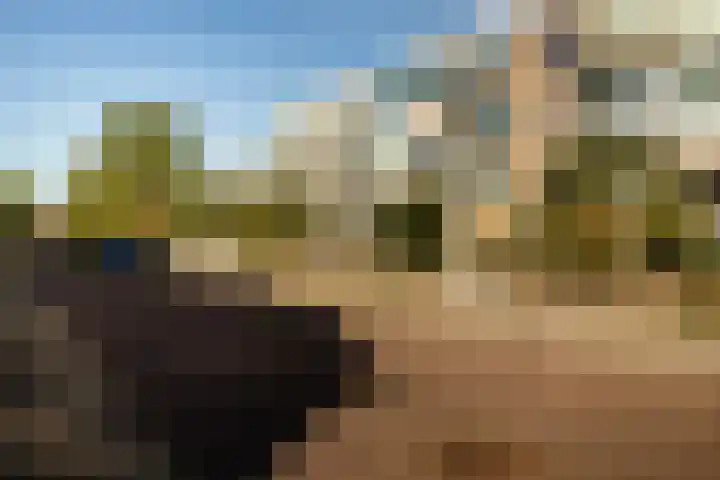 Populierenlaan 23 Zwanenburg thumbnail 25