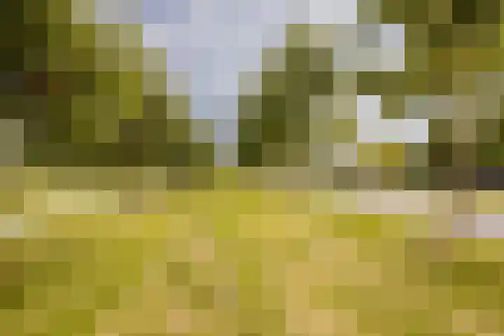 Populierenlaan 23 Zwanenburg thumbnail 26