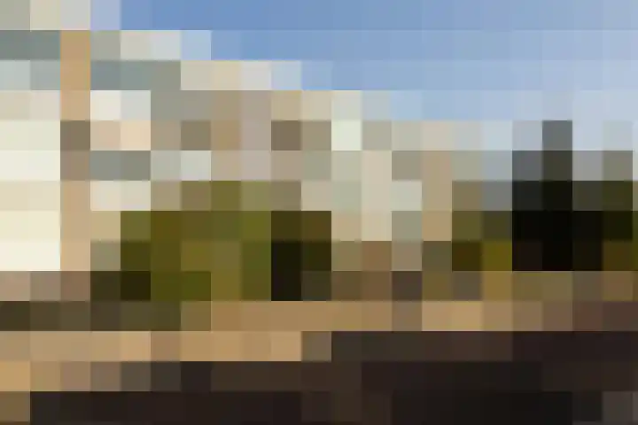 Populierenlaan 23 Zwanenburg thumbnail 33
