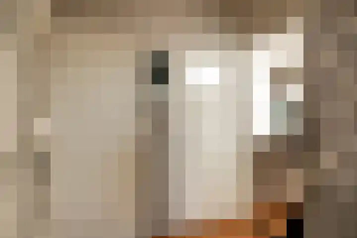 Populierenlaan 23 Zwanenburg thumbnail 4