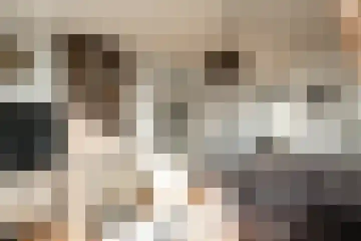 Populierenlaan 23 Zwanenburg thumbnail 6