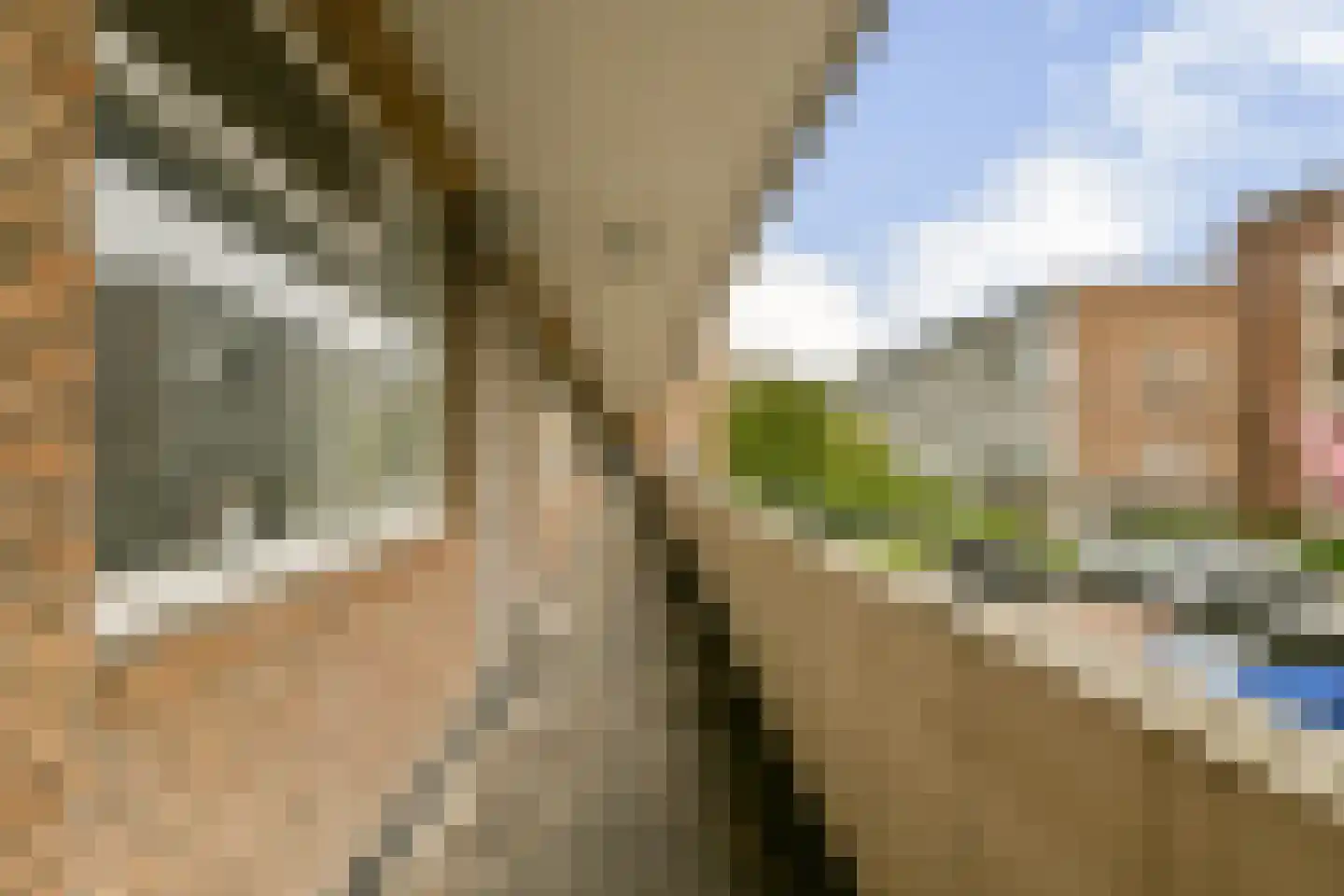 Populierenlaan 239 Amstelveen thumbnail 7