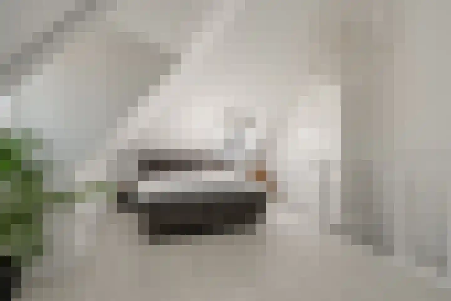 Populierenlaan 24 Woudenberg thumbnail 40