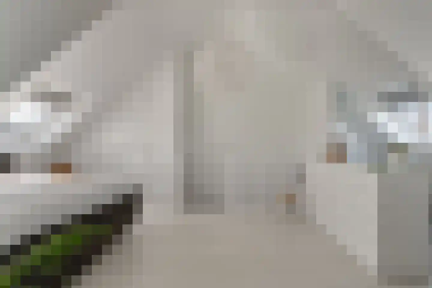 Populierenlaan 24 Woudenberg thumbnail 41
