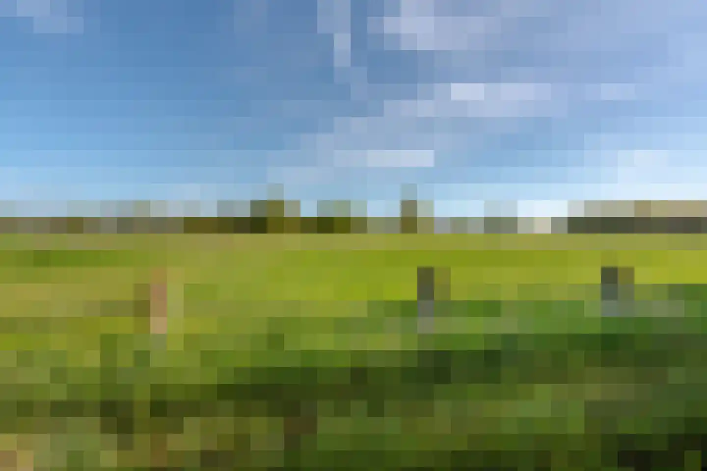 Populierenlaan 24 Woudenberg thumbnail 46