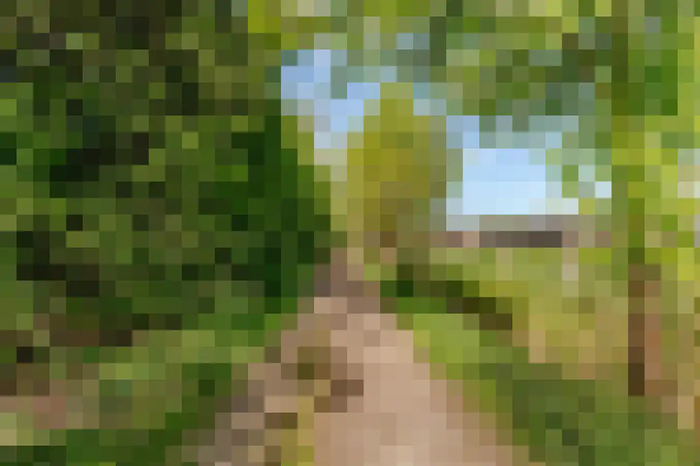 Populierenlaan 24 Woudenberg thumbnail 47
