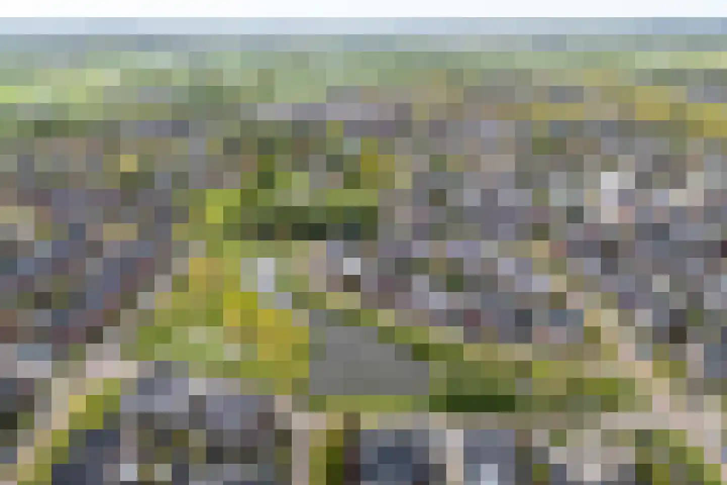 Populierenlaan 24 Woudenberg thumbnail 51