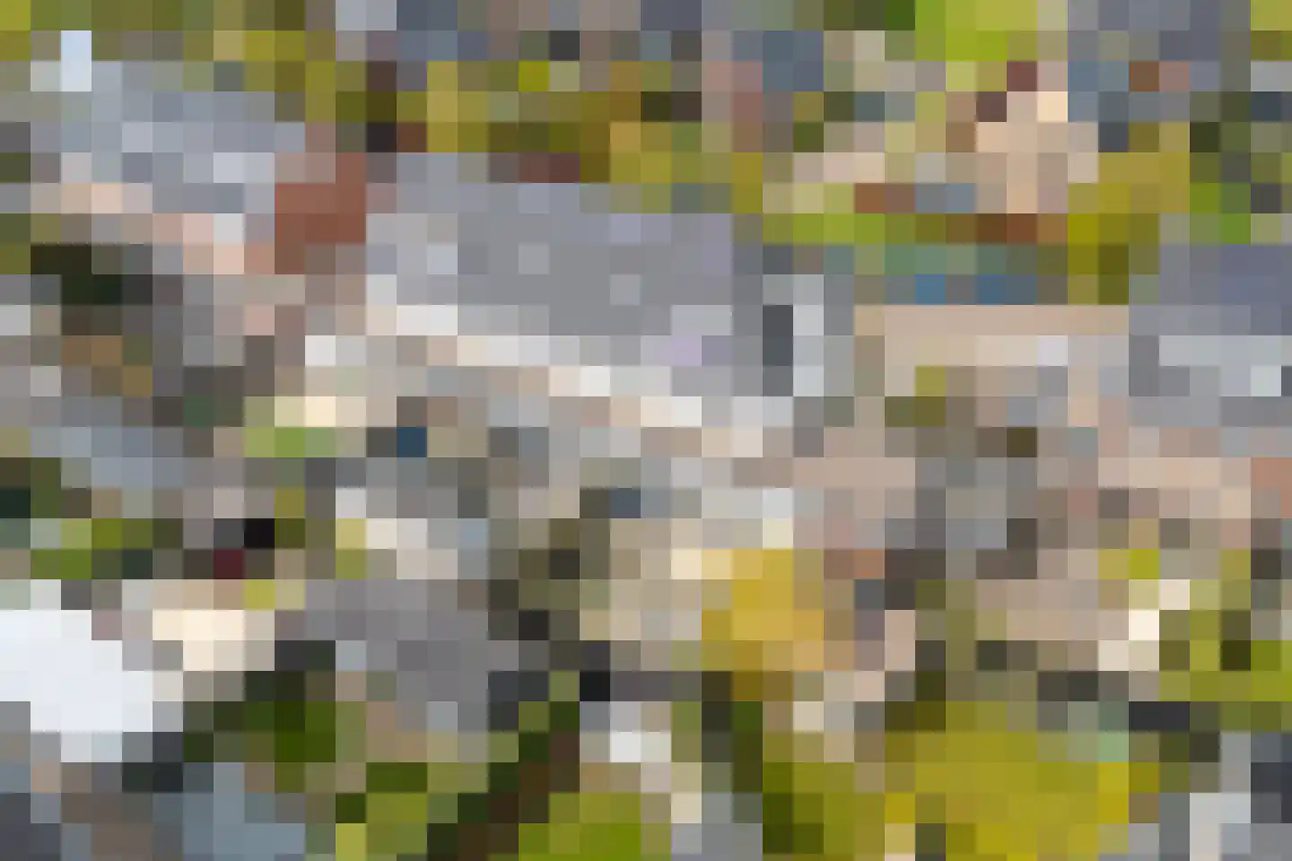 Populierenlaan 24 Woudenberg thumbnail 54