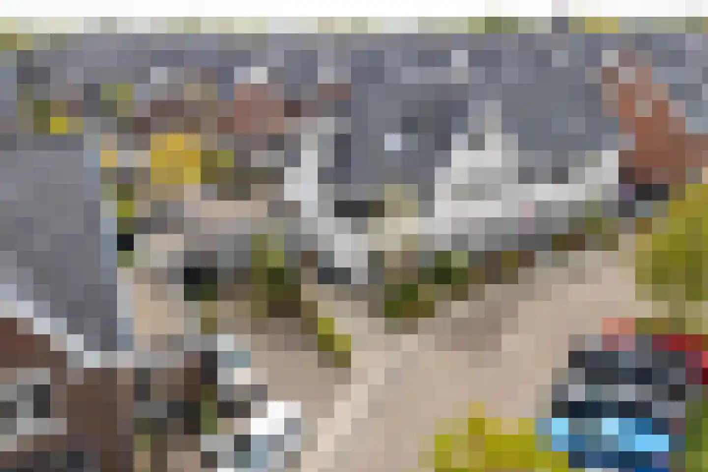 Populierenlaan 24 Woudenberg thumbnail 55