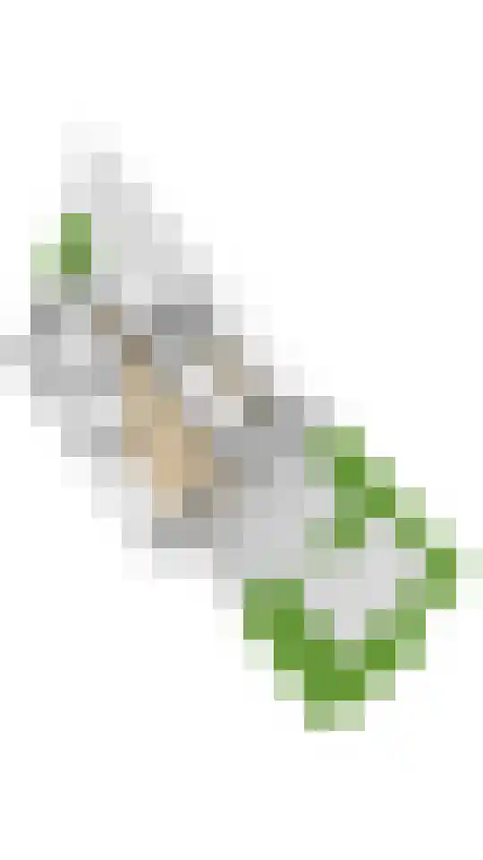 Populierenlaan 24 Woudenberg thumbnail 63