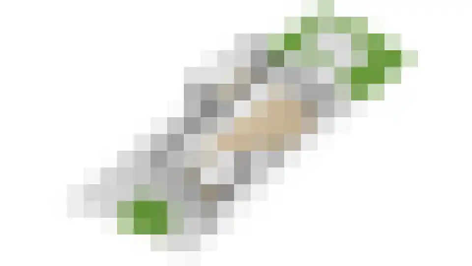 Populierenlaan 24 Woudenberg thumbnail 64
