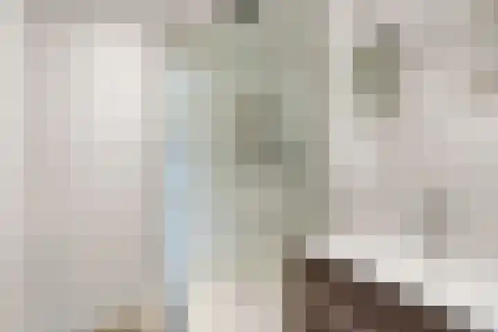 Populierenlaan 241 Amstelveen thumbnail 16