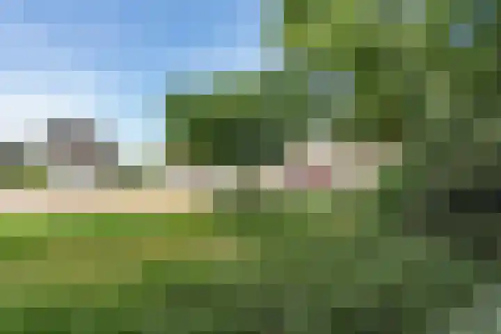 Populierenlaan 241 Amstelveen thumbnail 20