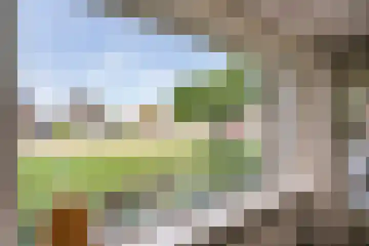 Populierenlaan 241 Amstelveen thumbnail 4