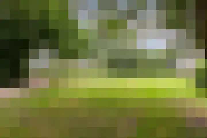Populierenlaan 249 Amstelveen thumbnail 34