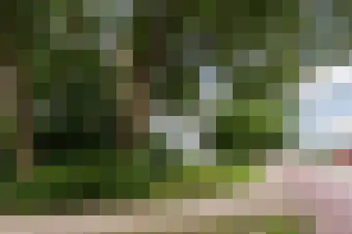 Populierenlaan 249 Amstelveen thumbnail 35