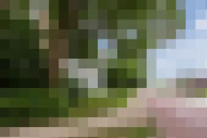Populierenlaan 249 Amstelveen thumbnail 36