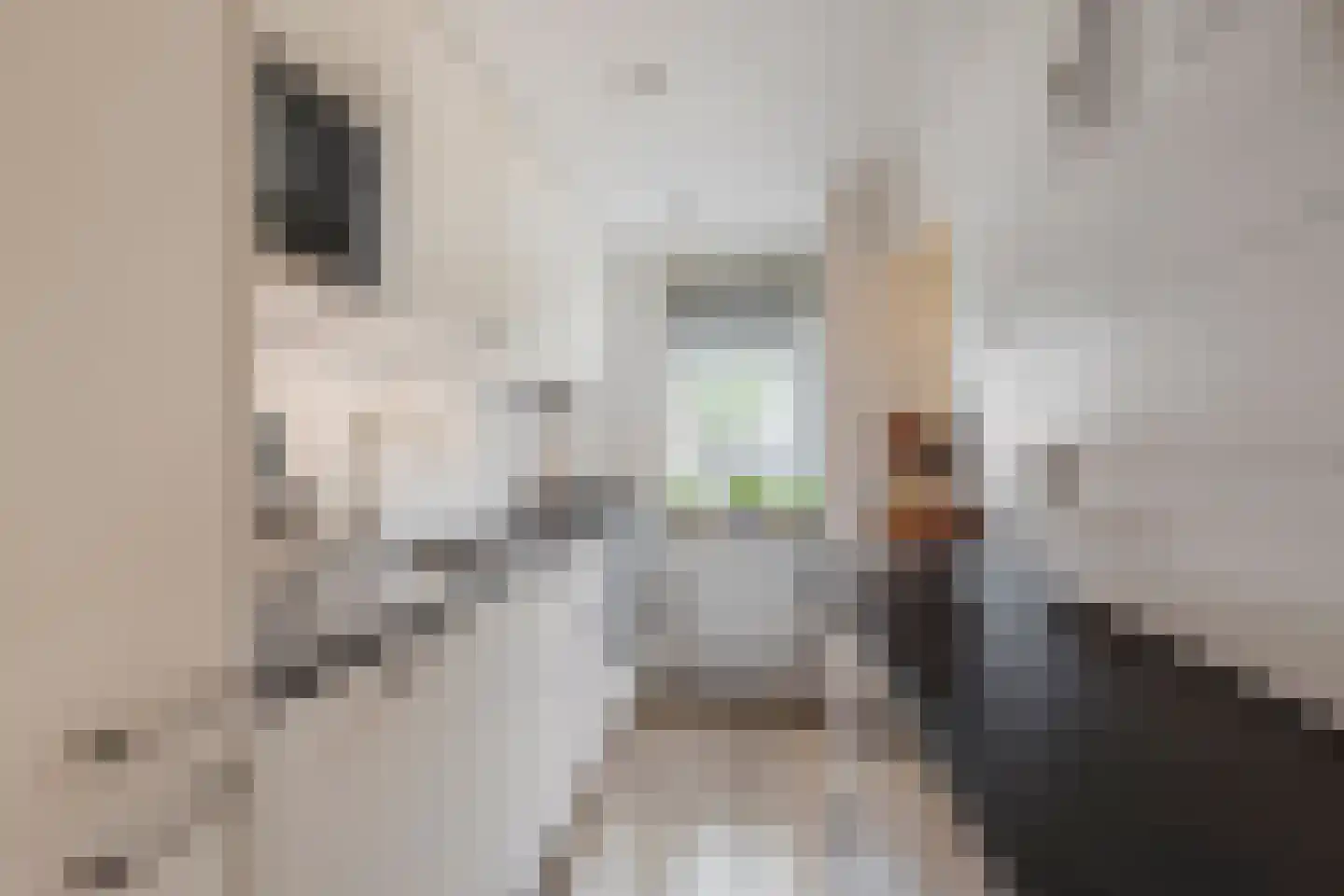 Populierenlaan 249 Zwanenburg thumbnail 4