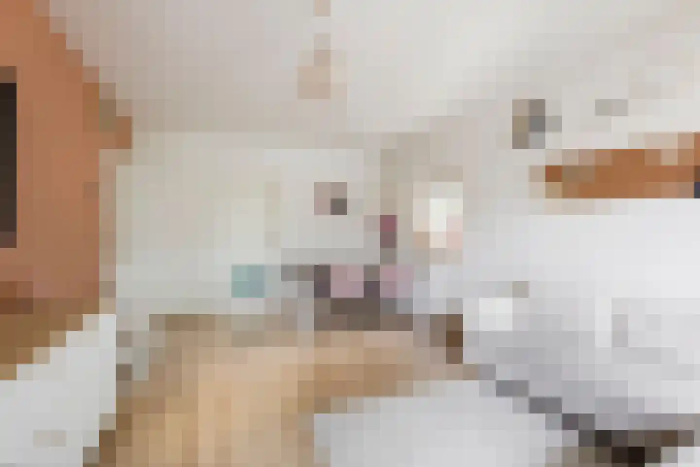Populierenlaan 249 Zwanenburg thumbnail 7
