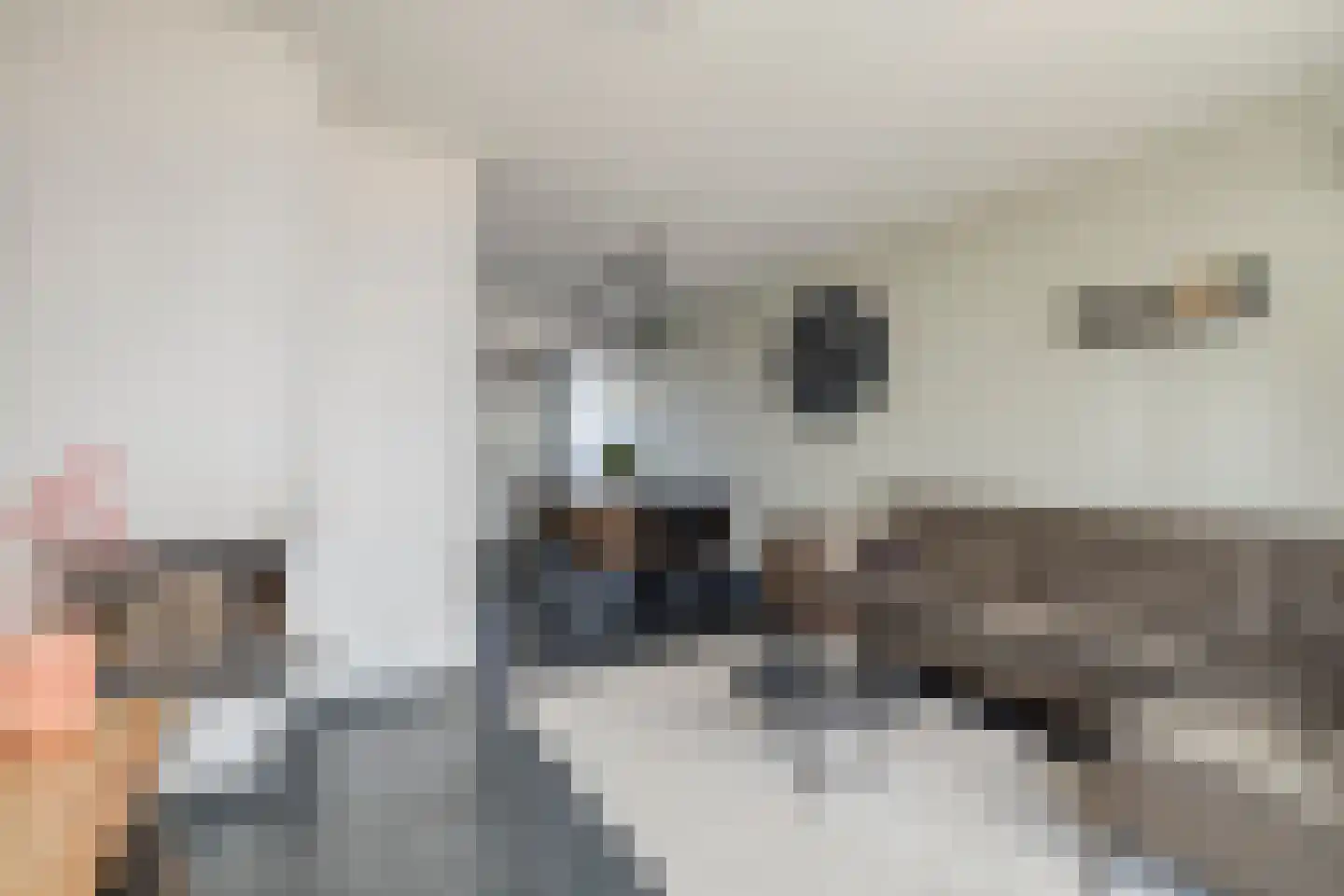 Populierenlaan 25 Zegveld thumbnail 5