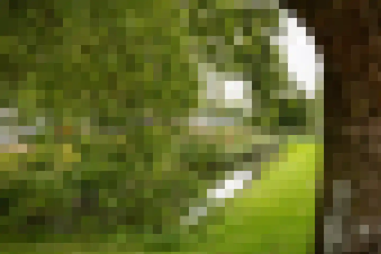 Populierenlaan 251 Zwanenburg thumbnail 22