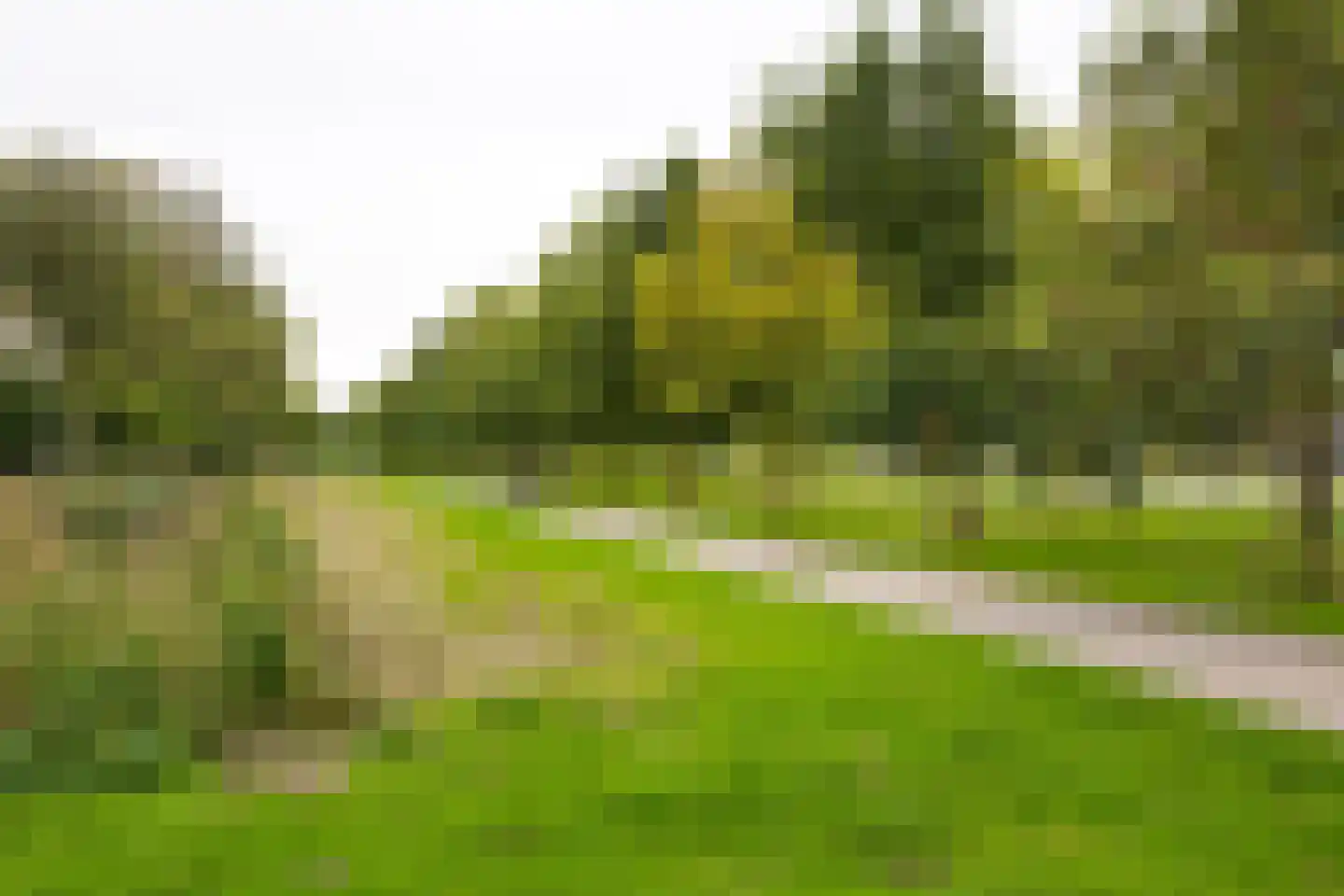 Populierenlaan 251 Zwanenburg thumbnail 23