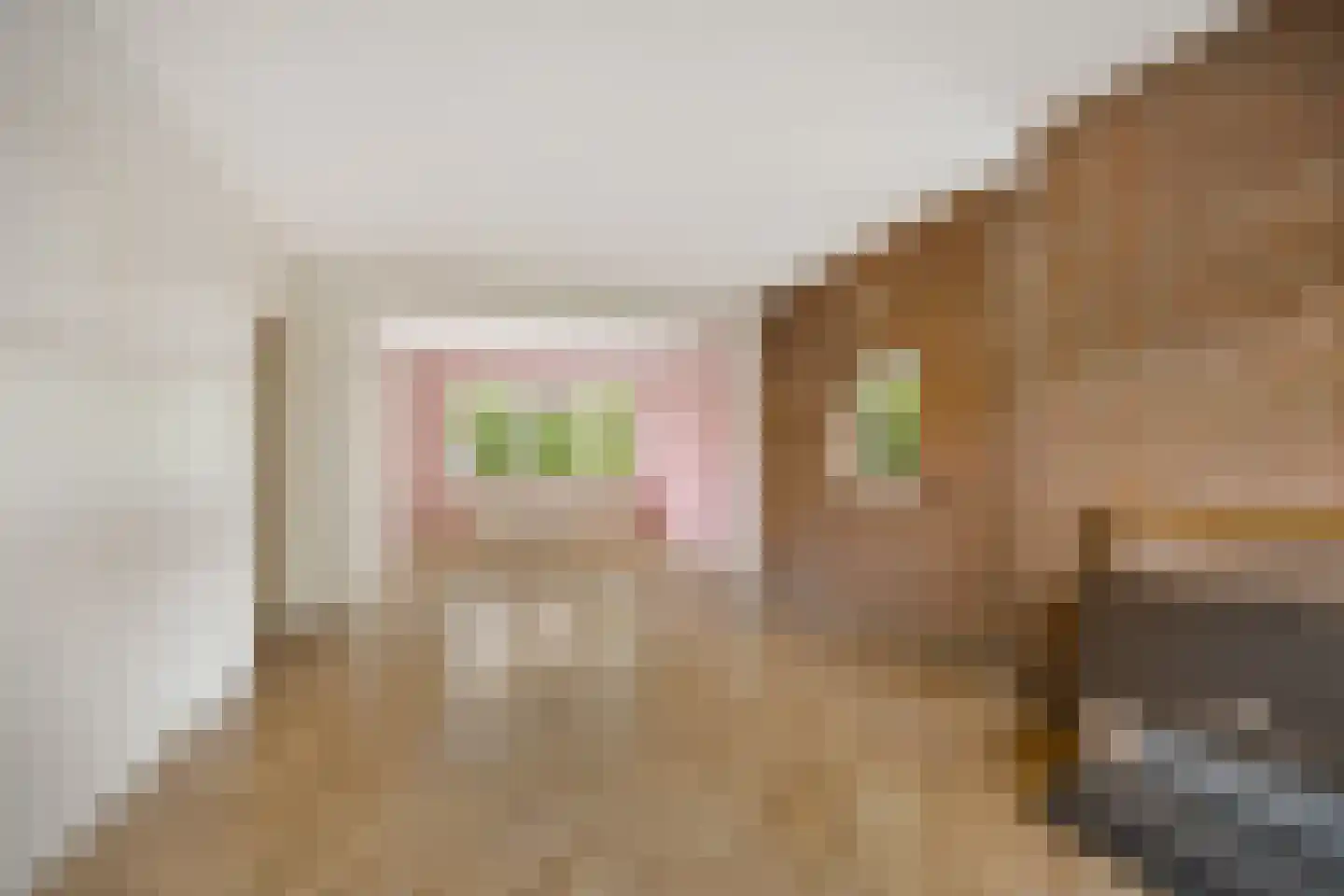 Populierenlaan 251 Zwanenburg thumbnail 5