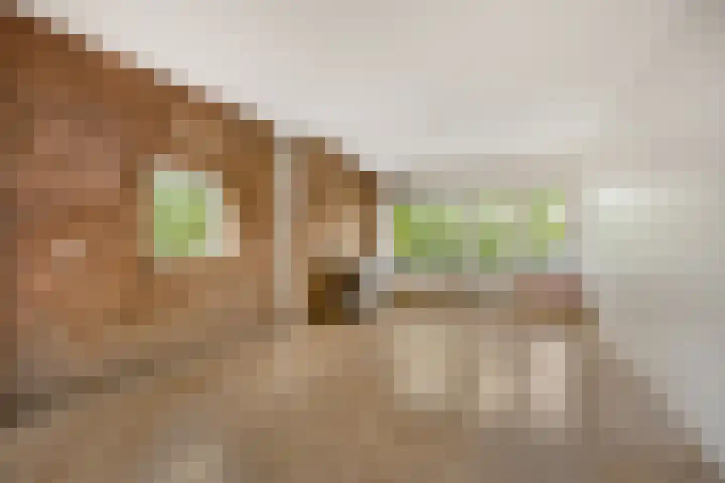 Populierenlaan 251 Zwanenburg thumbnail 6