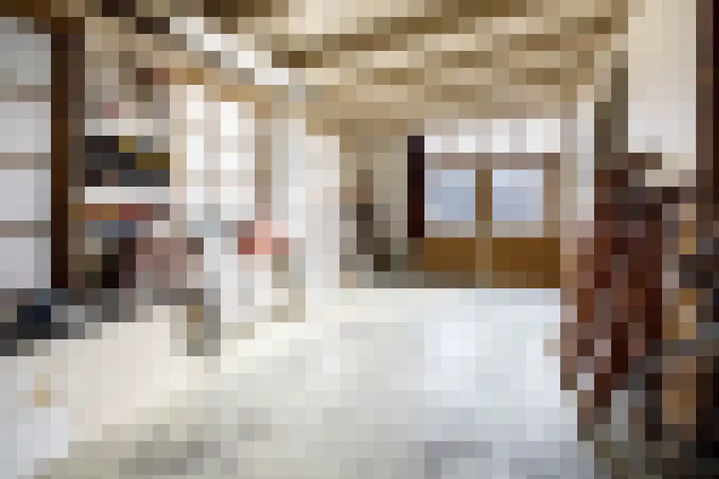 Populierenlaan 26 a Stolwijk thumbnail 4