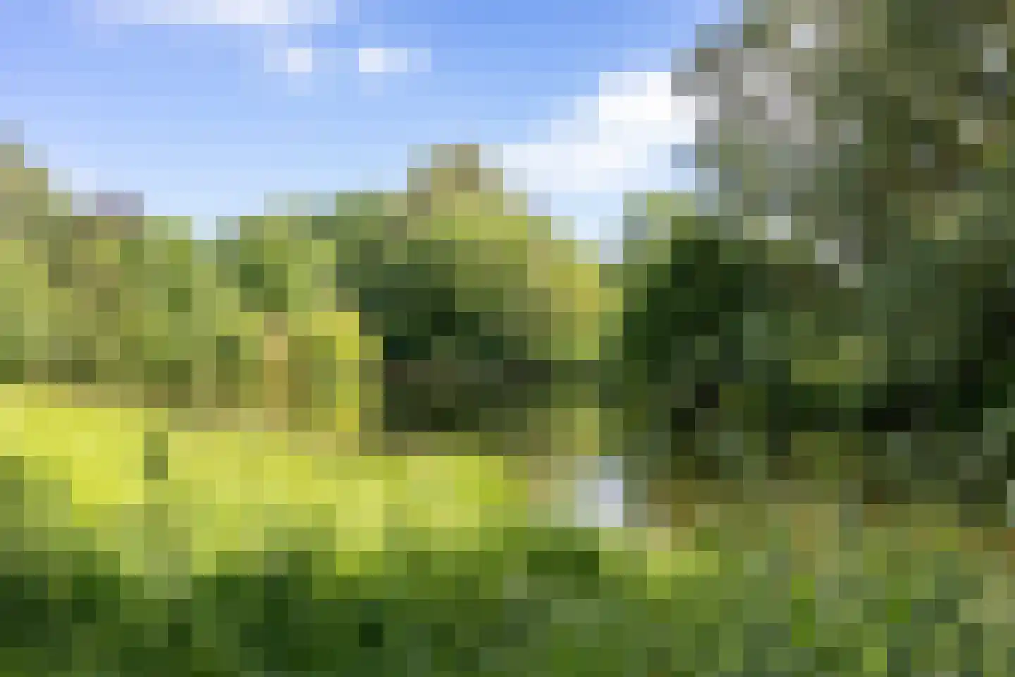 Populierenlaan 27 Groningen thumbnail 38