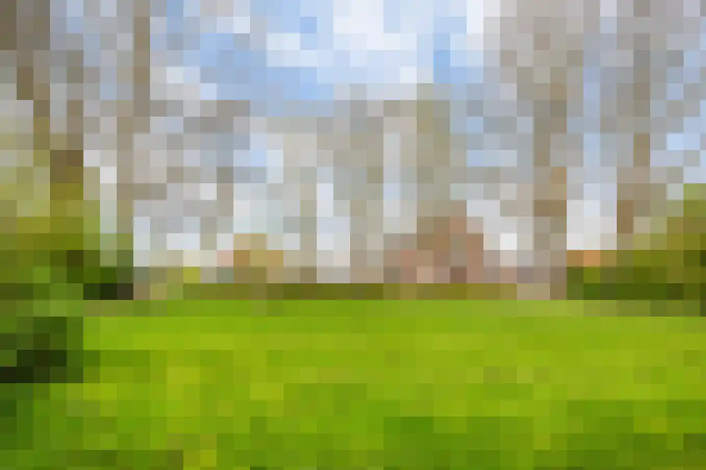 Populierenlaan 285 Amstelveen thumbnail 29