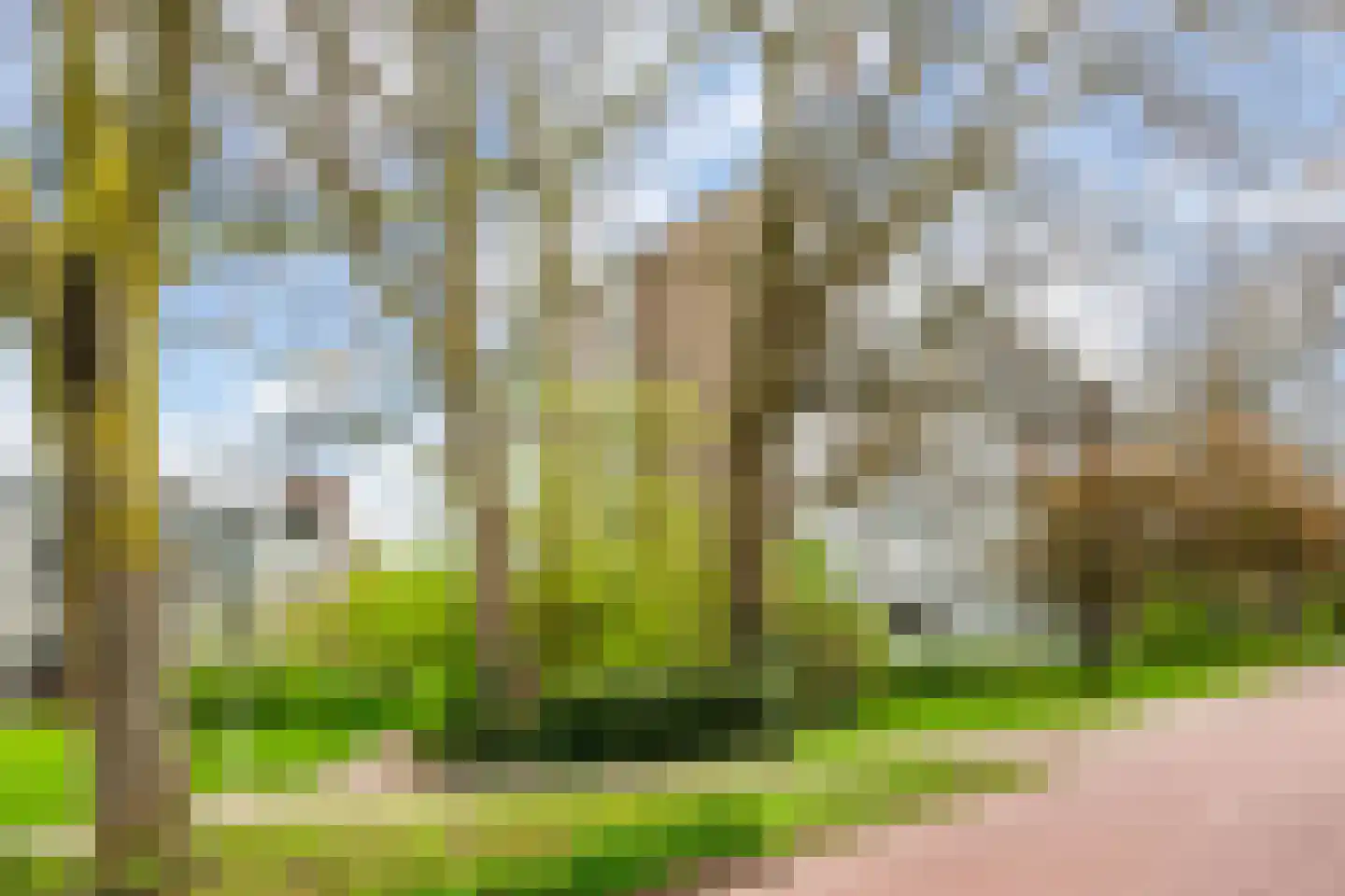 Populierenlaan 285 Amstelveen thumbnail 30