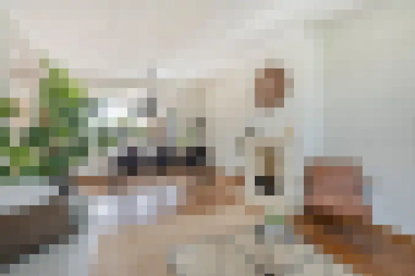 Populierenlaan 29 Sint-Oedenrode thumbnail 19