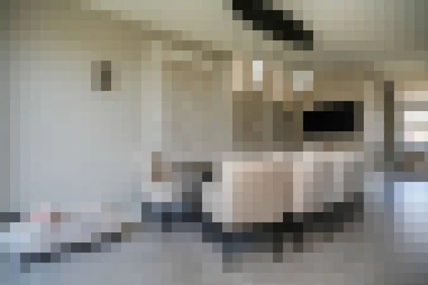 Populierenlaan 29 Velddriel thumbnail 17