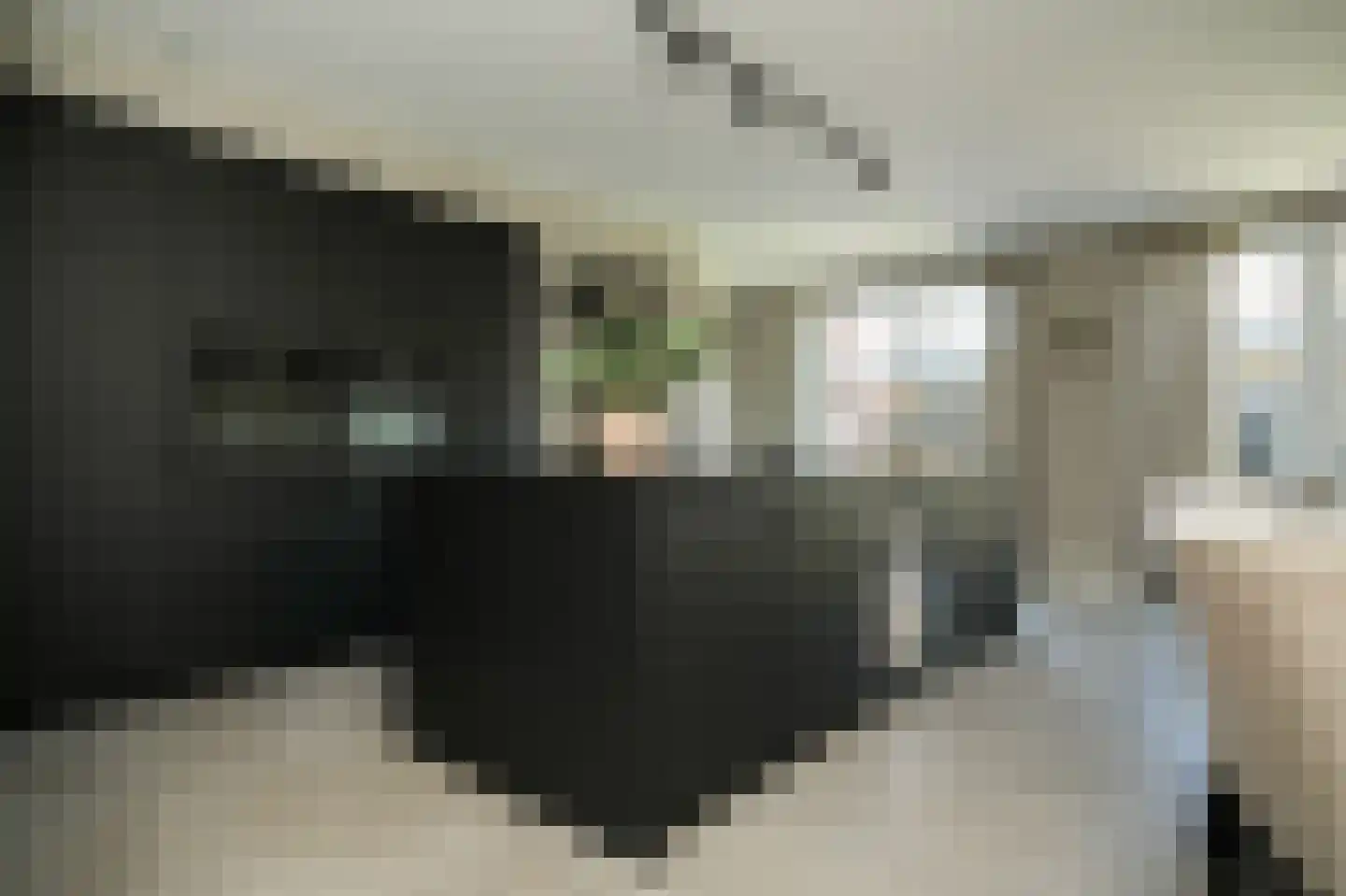 Populierenlaan 29 Velddriel thumbnail 22